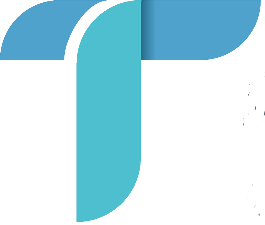 tan son nhat fast track